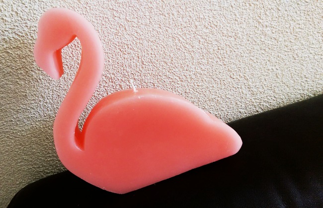 SHOPLOG: Flamingo & Ananas-Homedeco bij Xenos