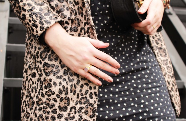 LOOK OF THE DAY: Leopard & stars